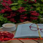 دانلود آهنگ بخشش از تتلو و هیچکس و حصین